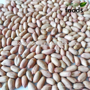 Bulk Peanuts Kernels For Sale